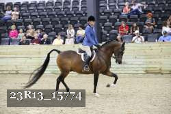 23R13_15774 thumbnail
