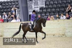 23R13_15775 thumbnail