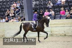 23R13_15776 thumbnail