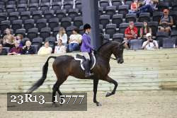 23R13_15777 thumbnail