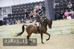 23R13_15779 thumbnail