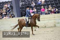 23R13_15781 thumbnail
