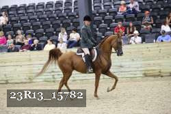 23R13_15782 thumbnail