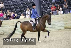 23R13_15784 thumbnail