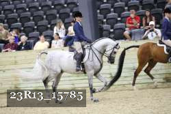 23R13_15785 thumbnail
