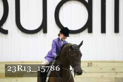 23R13_15786 thumbnail