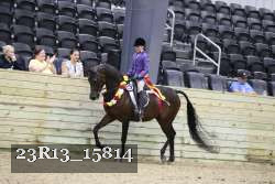 23R13_15814 thumbnail