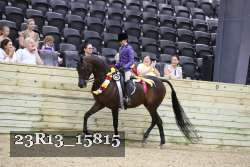 23R13_15815 thumbnail