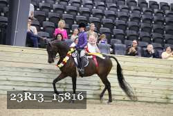 23R13_15816 thumbnail