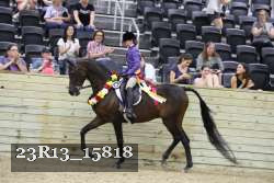 23R13_15818 thumbnail