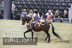 23R13_15820 thumbnail
