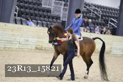 23R13_15821 thumbnail