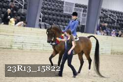 23R13_15822 thumbnail