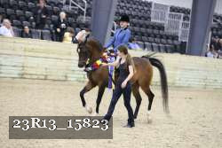 23R13_15823 thumbnail