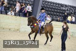 23R13_15824 thumbnail