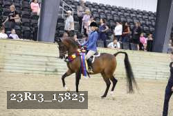 23R13_15825 thumbnail