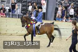 23R13_15826 thumbnail