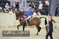 23R13_15827 thumbnail