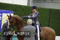 23R13_15852 thumbnail