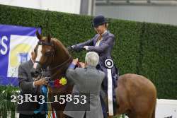 23R13_15853 thumbnail