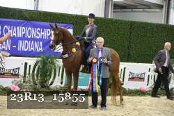 23R13_15855 thumbnail