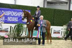 23R13_15856 thumbnail