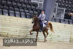 23R13_15857 thumbnail