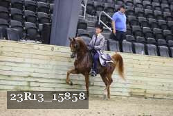 23R13_15858 thumbnail