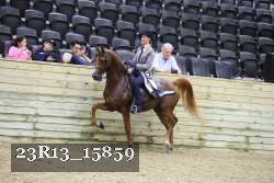 23R13_15859 thumbnail