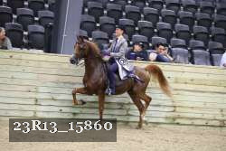 23R13_15860 thumbnail
