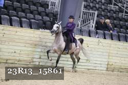 23R13_15861 thumbnail