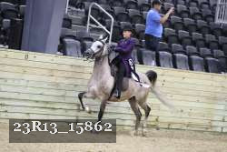 23R13_15862 thumbnail