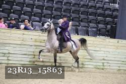 23R13_15863 thumbnail