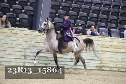 23R13_15864 thumbnail