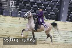 23R13_15865 thumbnail