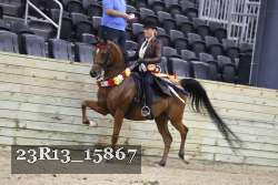 23R13_15867 thumbnail