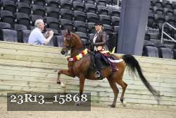 23R13_15868 thumbnail