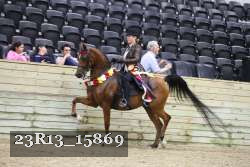 23R13_15869 thumbnail