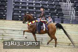23R13_15870 thumbnail
