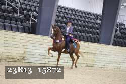 23R13_15872 thumbnail