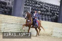 23R13_15873 thumbnail