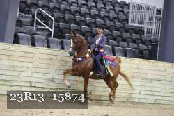 23R13_15874 thumbnail