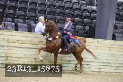 23R13_15875 thumbnail
