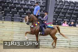 23R13_15876 thumbnail