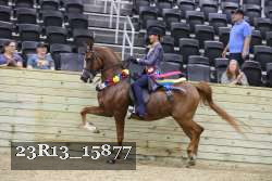 23R13_15877 thumbnail