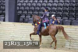 23R13_15878 thumbnail