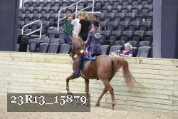 23R13_15879 thumbnail