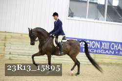 23R13_15895 thumbnail