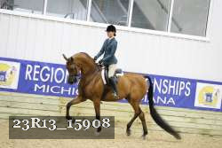 23R13_15908 thumbnail