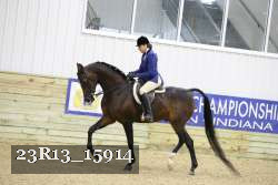23R13_15914 thumbnail